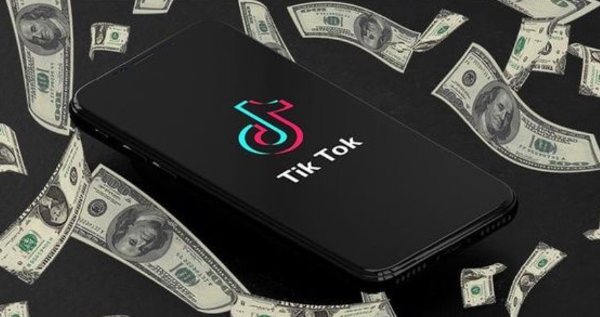 Tiktokerlar Ne Kadar Kazanıyor
